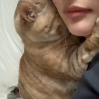 くっついている飼い主と猫