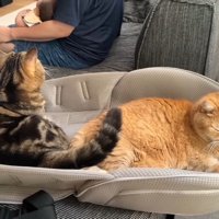 寛ぐふたり