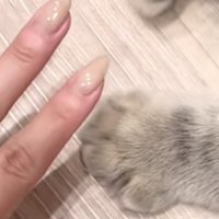 開いた凪ちゃんのおててのアップ