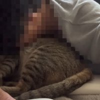 猫吸い
