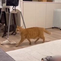 小走りするふたり