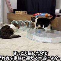 みんなで遊ぶ姿