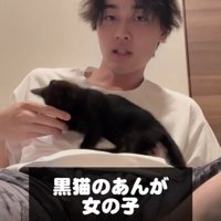 黒猫のあんちゃん