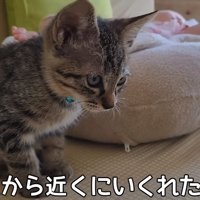 テロップ「この頃から近くに～」