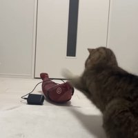 パンチする後ろ姿