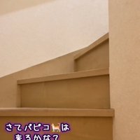 2階に続く階段