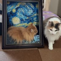 絵画と一体化する猫と歩く猫