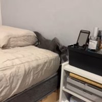 ベッドの奥に見える猫の足