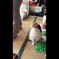 後ろから見上げて