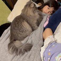 ジッと姉の顔を見る猫（横顔ver.）