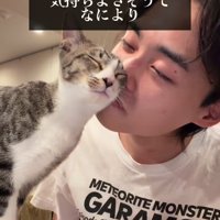 人の顔にスリスリする猫