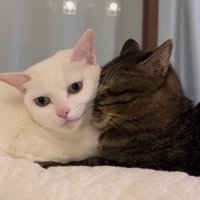 成長しても寄り添うふたり