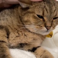 目を細めた表情
