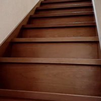 階段の上から1階を見下ろす猫