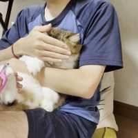 長毛猫ちゃんの目元を覆う息子さん