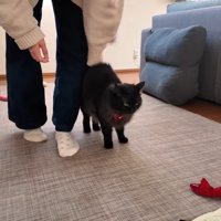 お尻を向けるみちこちゃん