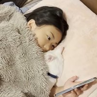 ベッドに寝ている子どもと猫