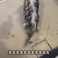 ええええええ