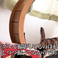 テロップ「変なアングルで～」