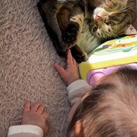 床に寝ている猫と赤ちゃん