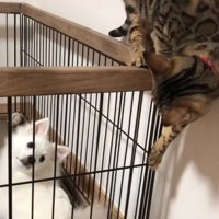 別の角度から覗き込む