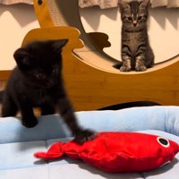 クリーンヒット