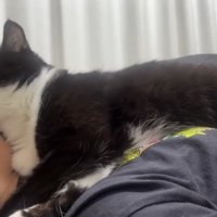 グルーミングに顔ペロペロ