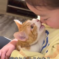 子猫を抱く女の子