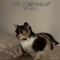 「しばらく…」と書かれた写真