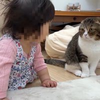 赤ちゃんの隣に座るぽこ太郎くん