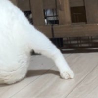 一見すると何が写っているのか分からない写真