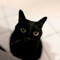 白いひげの生えた様子