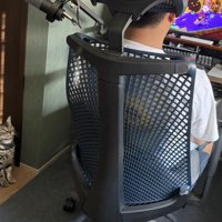 ゲームをしている男性に熱い視線を送る猫