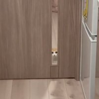 虚無顔の猫