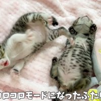 コロコロモード