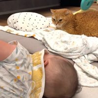 見つめ合うふたり