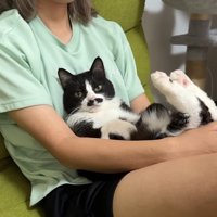 膝抱っこ(向かって左から)