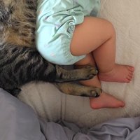 軽く折り曲げられている猫と赤ちゃんの足