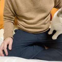 膝に前足をかけた姿