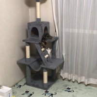 タワーで見つめ合うふたり