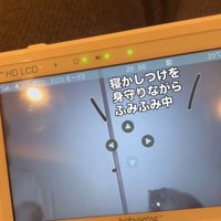 赤ちゃんを見る猫