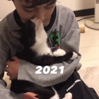 猫を抱っこしている男の子
