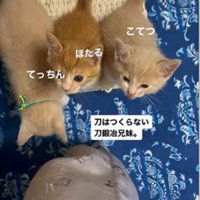 人の足元で鳴いている3匹の子猫