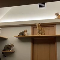 みんなで一点集中2