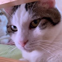 お顔のアップ