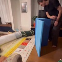 遊んでいる猫とパパさん