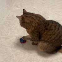 叩き中(後ろ姿)