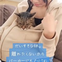 女の子のパーカーの中に入っている猫
