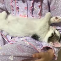 脱力