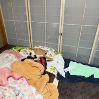 飛ぶ猫